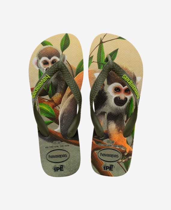 Havaianas IPE Sand Grey Moss 4000396.9635